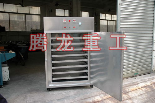大型的山楂烘干机生产厂商定制 食品烘干设备生产厂商销售 腾龙